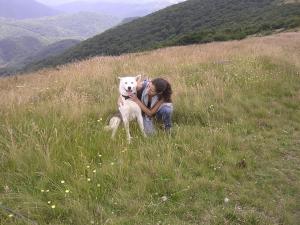 Прикачена снимка