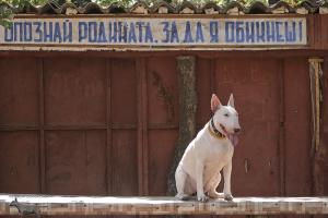 Прикачена снимка