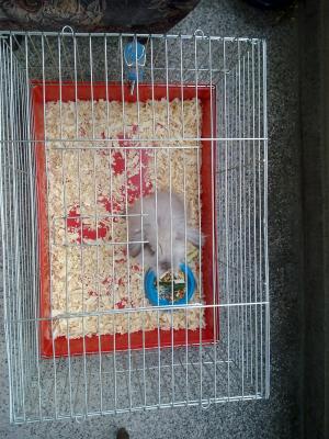 Прикачена снимка