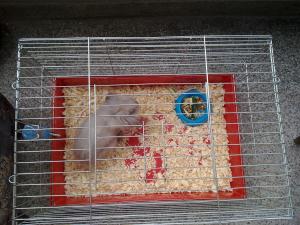 Прикачена снимка