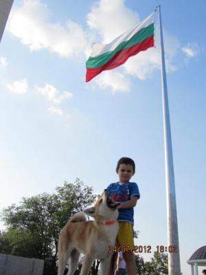 Прикачена снимка