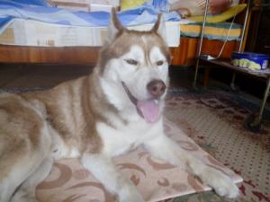 Прикачена снимка