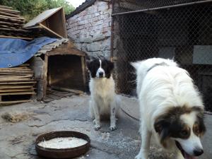 Прикачена снимка