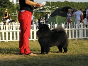 Прикачена снимка