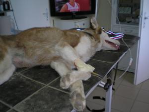 Прикачена снимка