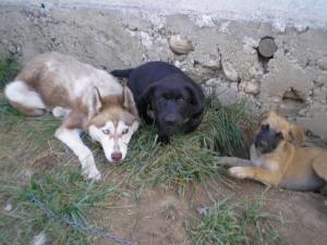 Прикачена снимка