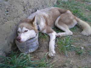 Прикачена снимка