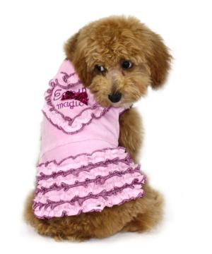 Прикачена снимка