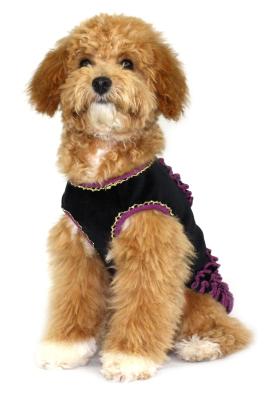 Прикачена снимка