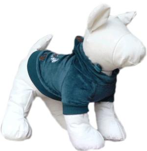 Прикачена снимка