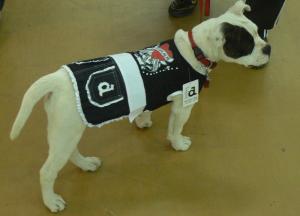 Прикачена снимка