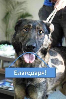 Прикачена снимка
