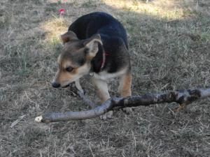 Прикачена снимка