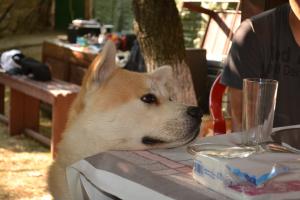 Прикачена снимка