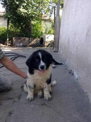 Прикачена снимка
