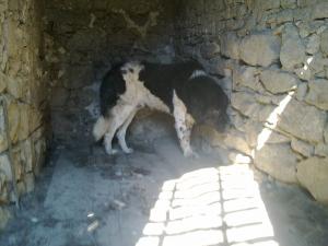 Прикачена снимка