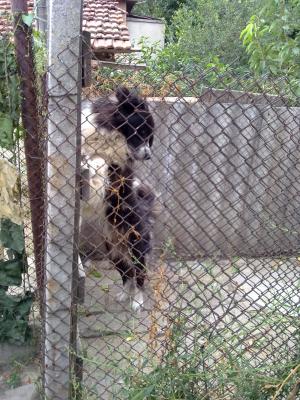 Прикачена снимка