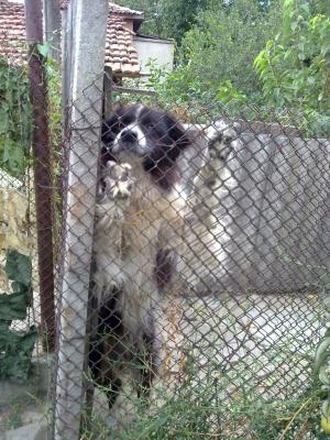 Прикачена снимка