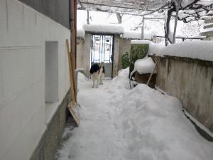 Прикачена снимка