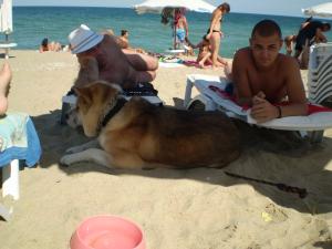 Прикачена снимка
