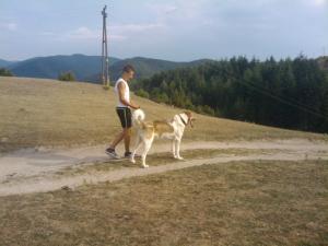 Прикачена снимка