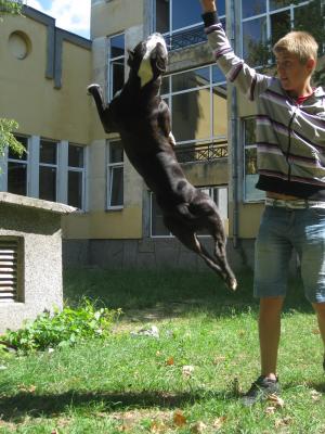 Прикачена снимка