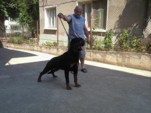 Прикачена снимка