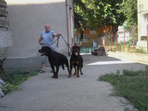 Прикачена снимка