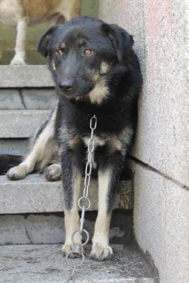 Прикачена снимка