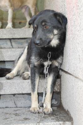 Прикачена снимка