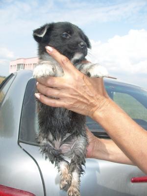 Прикачена снимка