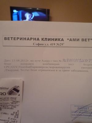 Прикачена снимка