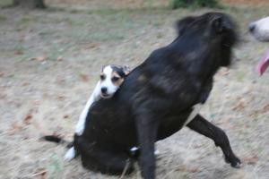 Прикачена снимка