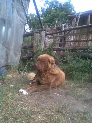 Прикачена снимка