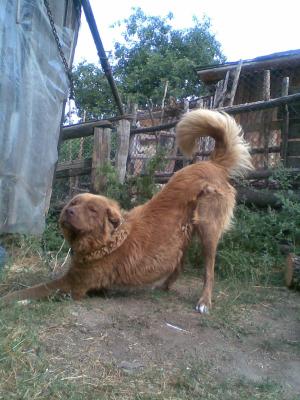 Прикачена снимка