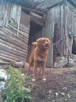 Прикачена снимка