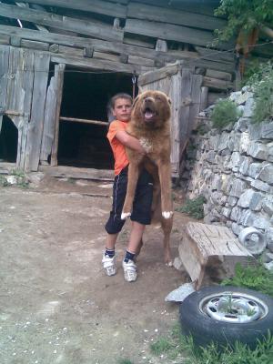 Прикачена снимка