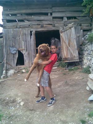 Прикачена снимка