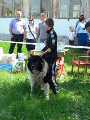 Прикачена снимка