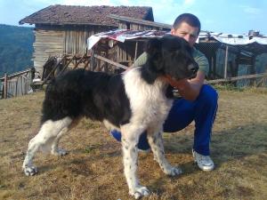 Прикачена снимка