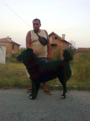 Прикачена снимка