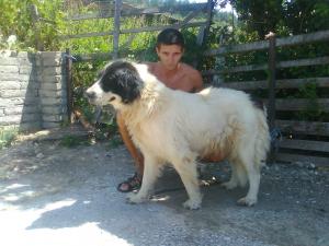 Прикачена снимка