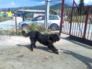 Прикачена снимка