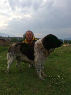 Прикачена снимка