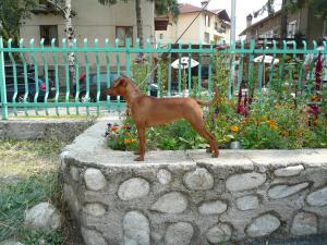 Прикачена снимка