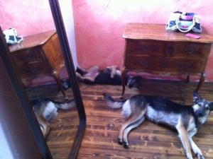 Прикачена снимка