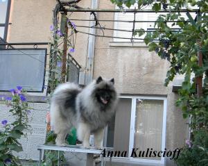 Прикачена снимка