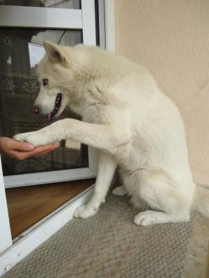 Прикачена снимка