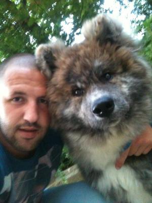 Прикачена снимка