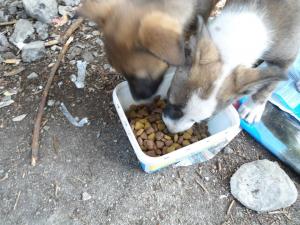 Прикачена снимка